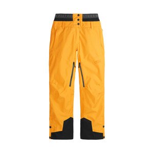 Picture Exa 20/20 Dámské lyžařské kalhoty US M WPT104-AUTUMN BLAZE